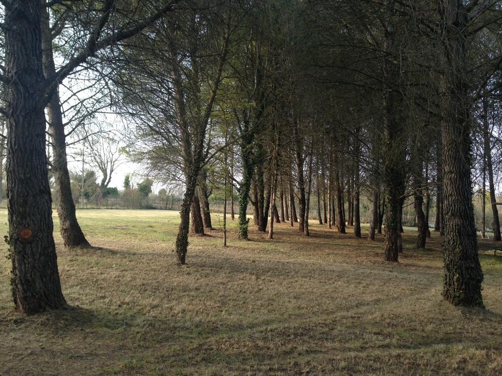 Le Mas De Trevouse Saint-Saturnin-lès-Avignon Buitenkant foto