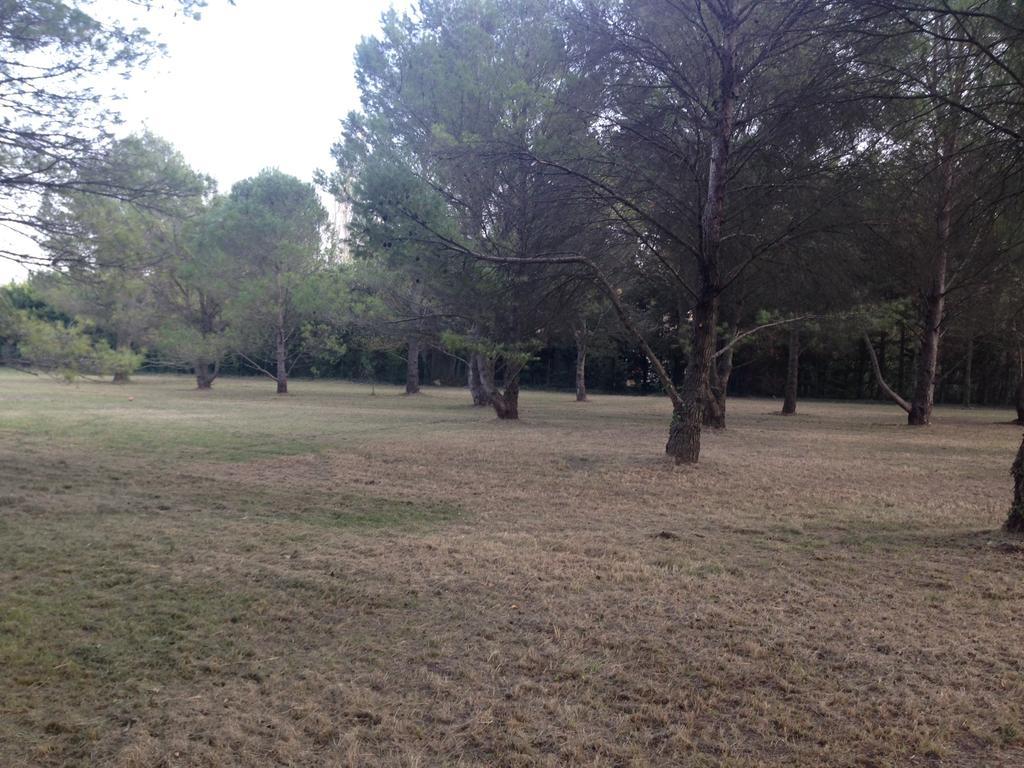 Le Mas De Trevouse Saint-Saturnin-lès-Avignon Buitenkant foto