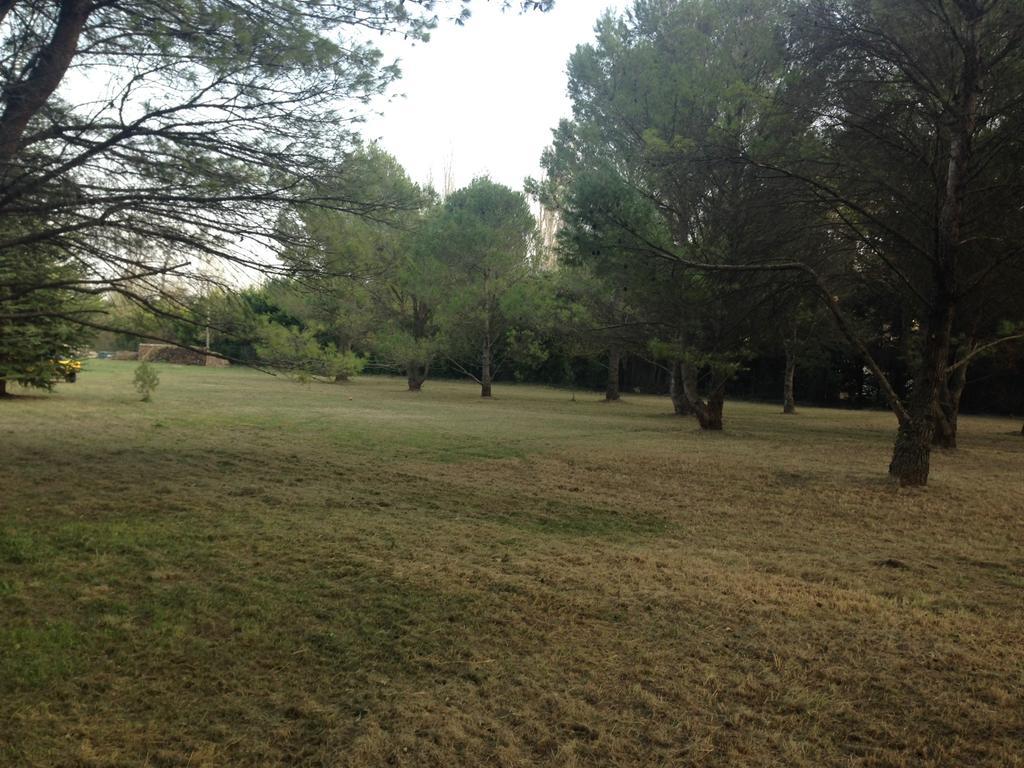 Le Mas De Trevouse Saint-Saturnin-lès-Avignon Buitenkant foto